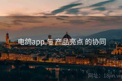 电鸽app 与 产品亮点 的协同