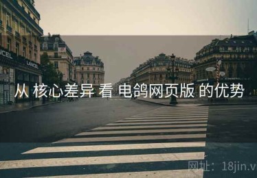 从 核心差异 看 电鸽网页版 的优势