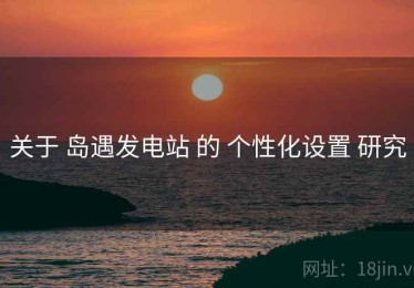 关于 岛遇发电站 的 个性化设置 研究