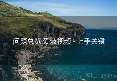 问题总览 爱液视频 - 上手关键