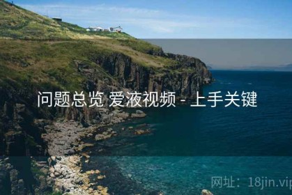 问题总览 爱液视频 - 上手关键