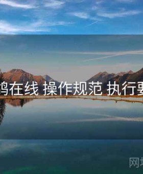 电鸽在线 操作规范 执行要点