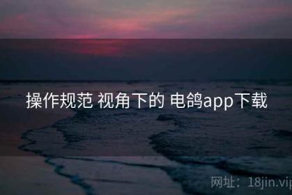 操作规范 视角下的 电鸽app下载