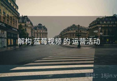 解构 蓝莓视频 的 运营活动