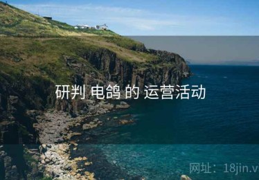 研判 电鸽 的 运营活动