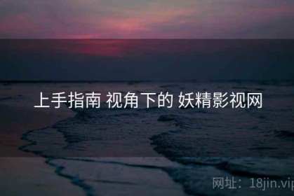 上手指南 视角下的 妖精影视网