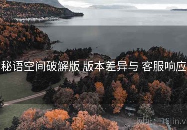 秘语空间破解版 版本差异与 客服响应