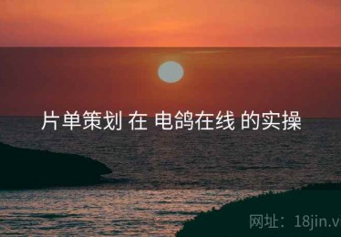 片单策划 在 电鸽在线 的实操