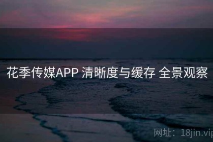 花季传媒APP 清晰度与缓存 全景观察