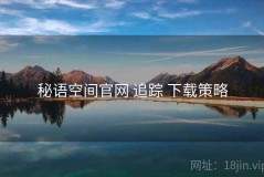 秘语空间官网 追踪 下载策略