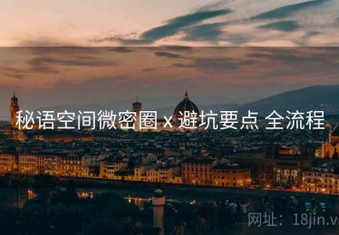 秘语空间微密圈 x 避坑要点 全流程