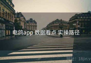 电鸽app 数据看点 实操路径