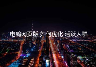 电鸽网页版 如何优化 活跃人群