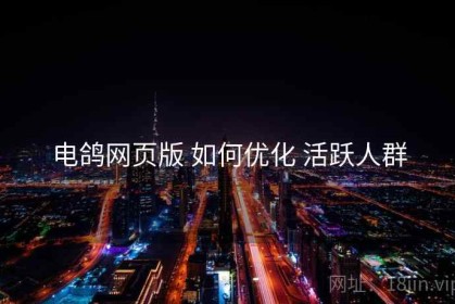 电鸽网页版 如何优化 活跃人群