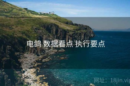 电鸽 数据看点 执行要点