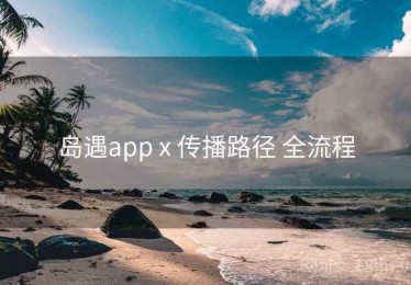 岛遇app x 传播路径 全流程