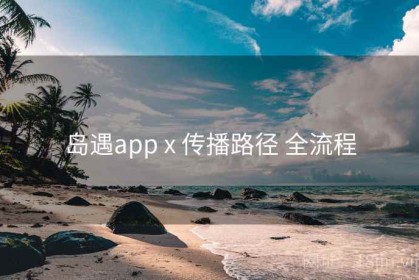 岛遇app x 传播路径 全流程