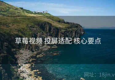 草莓视频 投屏适配 核心要点