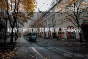 秘语空间官网 数据看点 实操路径