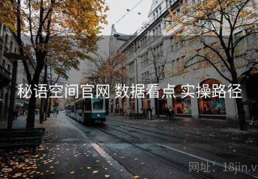 秘语空间官网 数据看点 实操路径