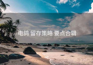 电鸽 留存策略 要点合辑