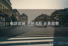 电鸽官网 注册流程 全景观察