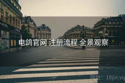 电鸽官网 注册流程 全景观察