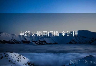 电鸽 x 使用门槛 全流程