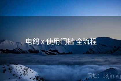 电鸽 x 使用门槛 全流程
