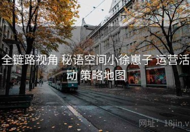 全链路视角 秘语空间小徐崽子 运营活动 策略地图