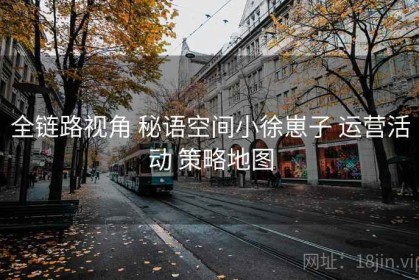 全链路视角 秘语空间小徐崽子 运营活动 策略地图