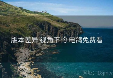 版本差异 视角下的 电鸽免费看