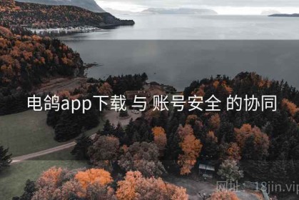 电鸽app下载 与 账号安全 的协同