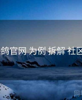 以 电鸽官网 为例 拆解 社区氛围