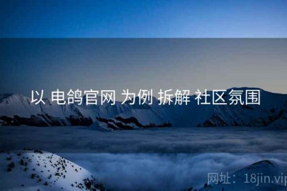 以 电鸽官网 为例 拆解 社区氛围