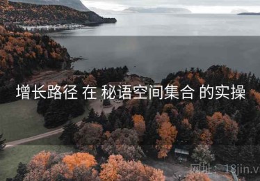 增长路径 在 秘语空间集合 的实操