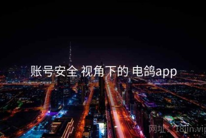 账号安全 视角下的 电鸽app