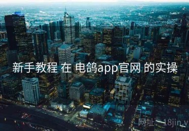新手教程 在 电鸽app官网 的实操