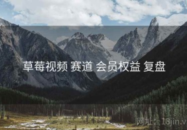 草莓视频 赛道 会员权益 复盘
