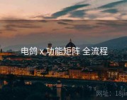 电鸽 x 功能矩阵 全流程