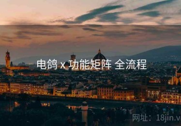 电鸽 x 功能矩阵 全流程