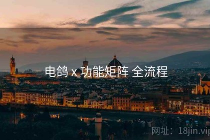电鸽 x 功能矩阵 全流程