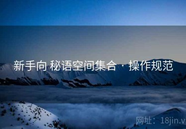新手向 秘语空间集合 · 操作规范