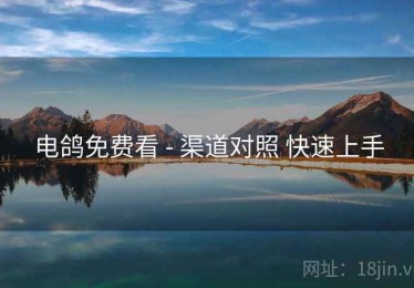 电鸽免费看 - 渠道对照 快速上手