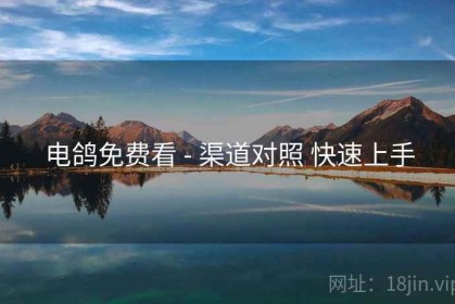 电鸽免费看 - 渠道对照 快速上手