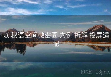 以 秘语空间微密圈 为例 拆解 投屏适配