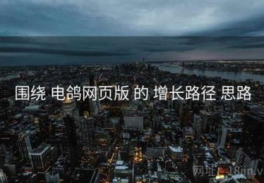 围绕 电鸽网页版 的 增长路径 思路