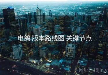 电鸽 版本路线图 关键节点