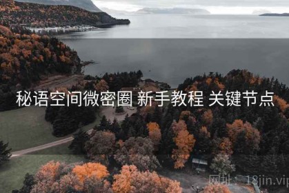 秘语空间微密圈 新手教程 关键节点