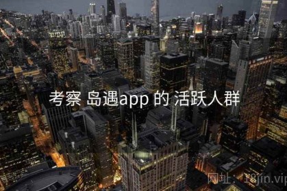 考察 岛遇app 的 活跃人群